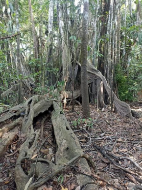 Atacuari salvaje tours Amazonas